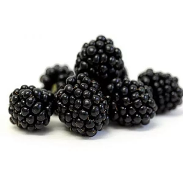 Picture of Fresh Blackberries | 125g