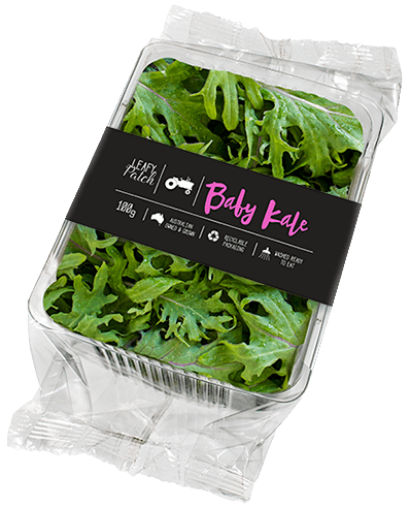 Picture of Leafy Patch Baby Kale | 100g